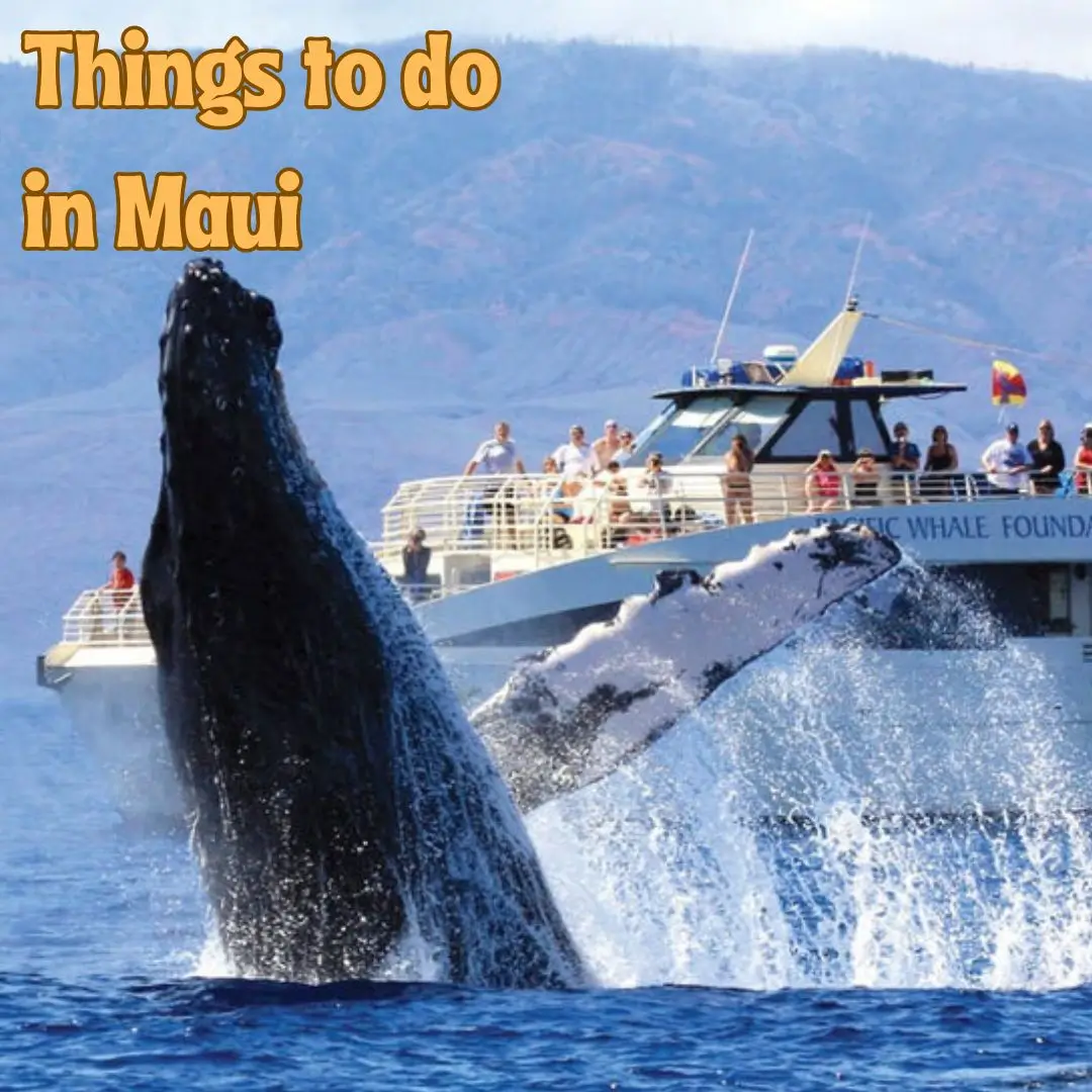 Things to Do in Maui