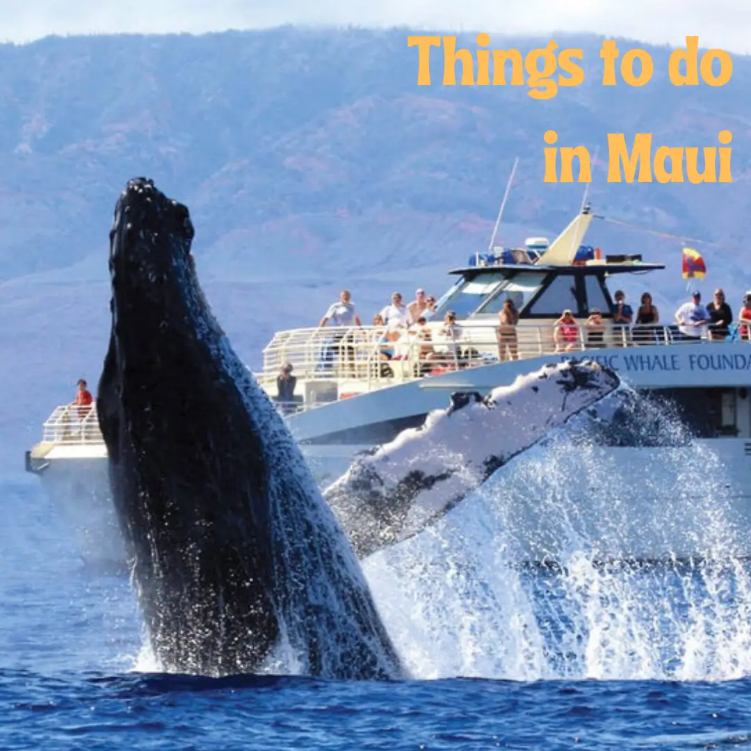 Things to do in Maui