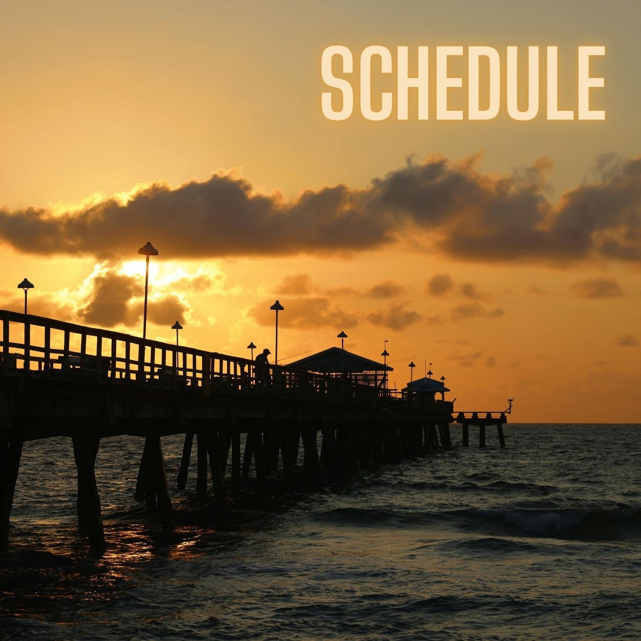 Schedule